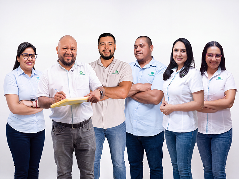 Equipo ejecutivo