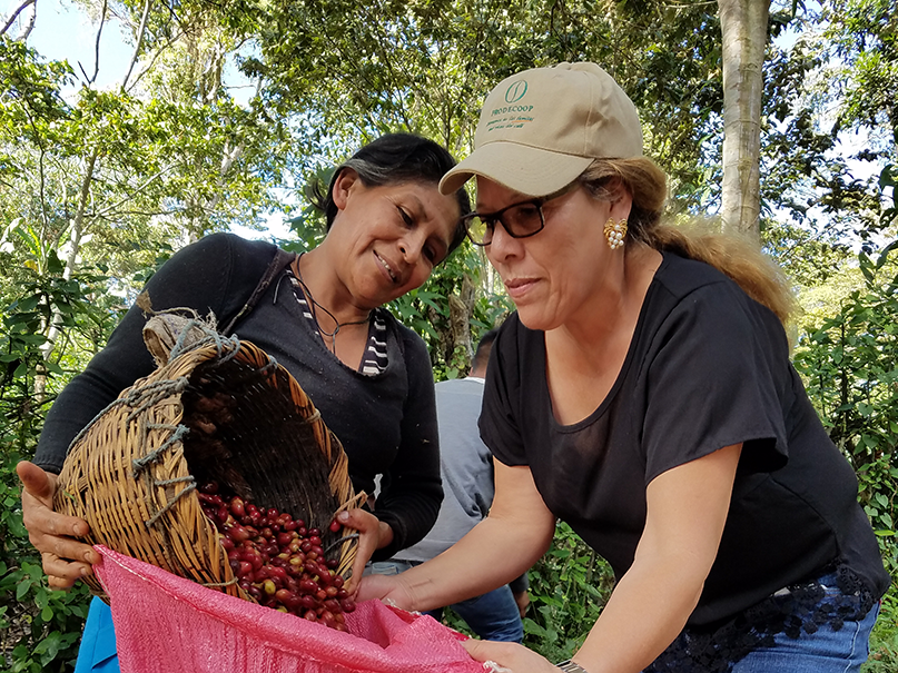Registro de trazabilidad de café por lote