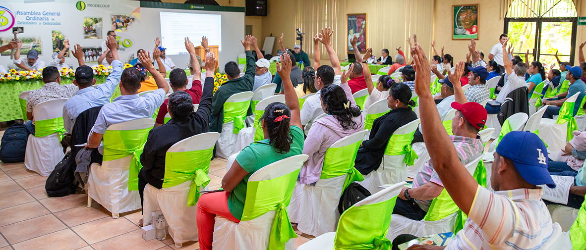 Asamblea General de cooperativas asociadas