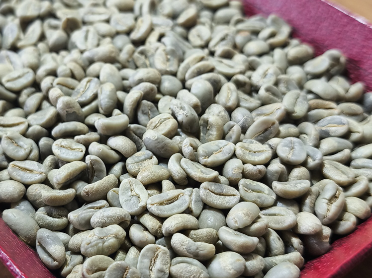 Café verde recién clasificado
