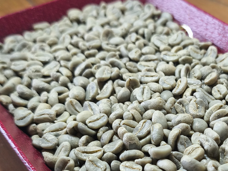 Granos de café verde en primer plano