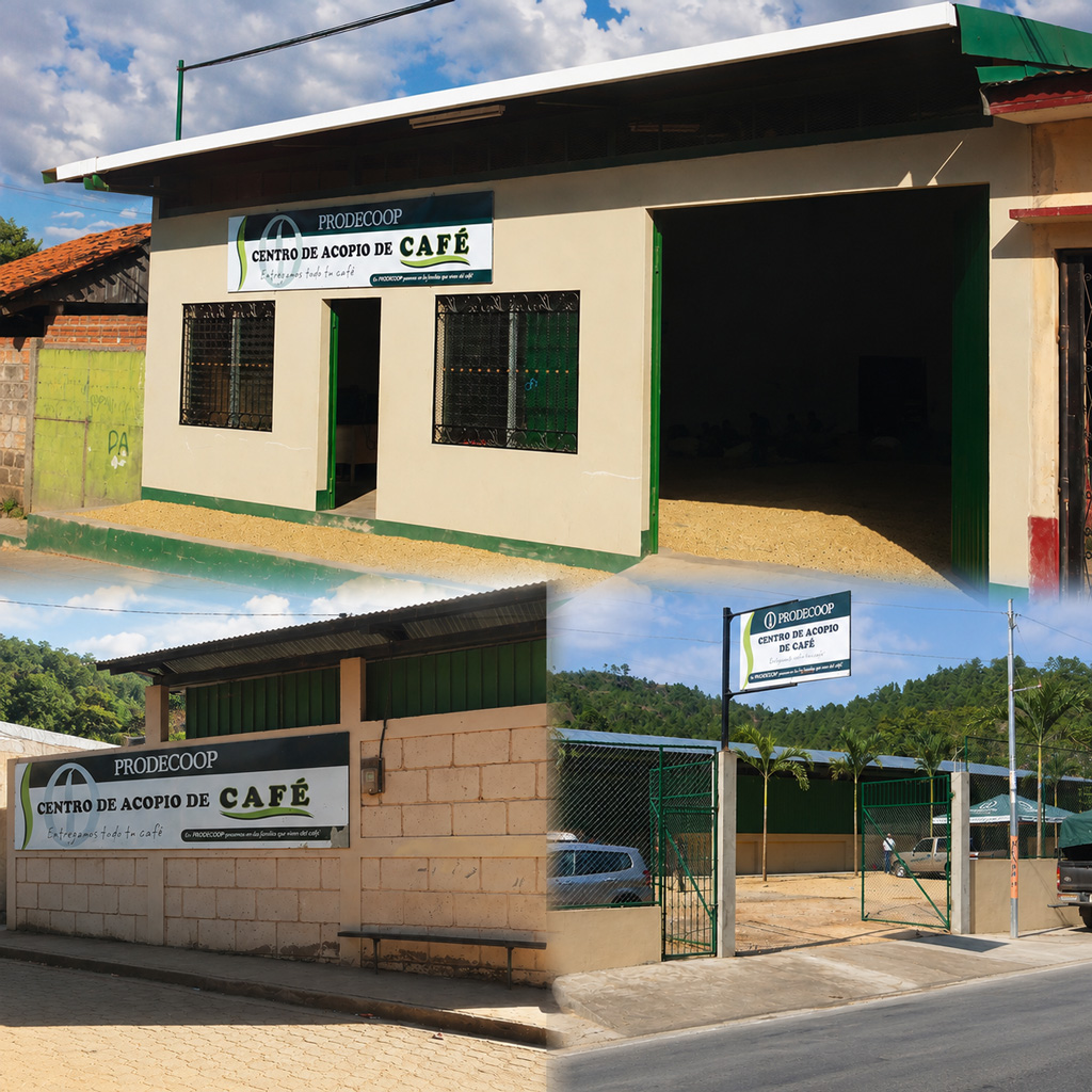 Centros de Acopio de café