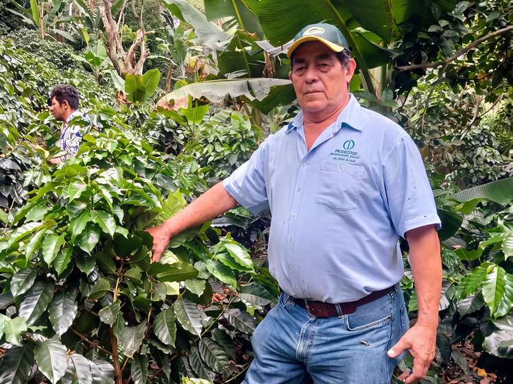 Técnico de campo asistiendo a productor en finca