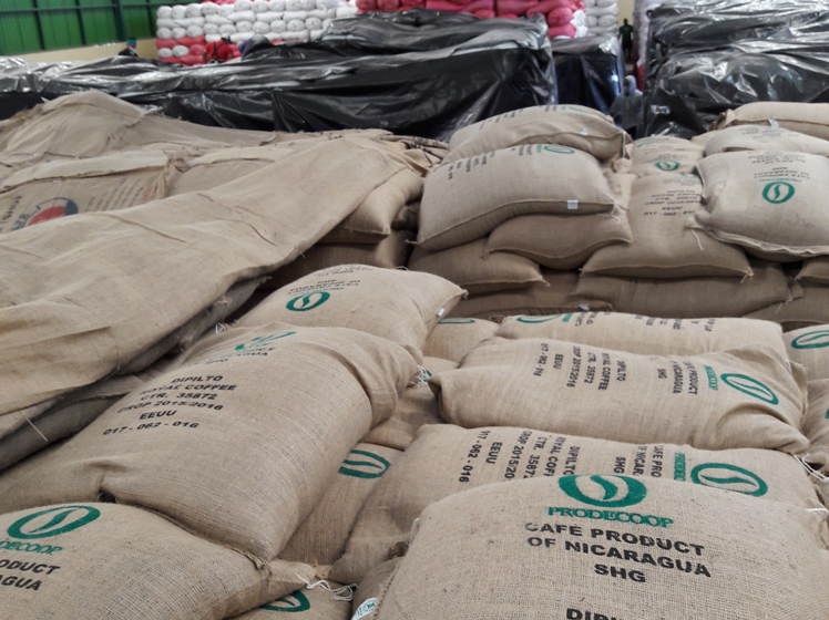 Sacos de café verde listos para exportación